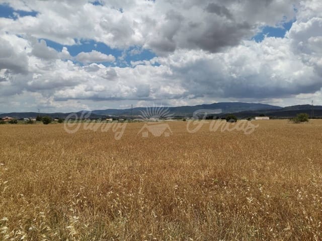 Rakentamaton maa myytävänä paikassa Yecla - 32 900 € (Ref: 6204627)