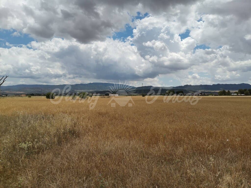 Grond te koop in Yecla - € 32.900 (Ref: 6204627)