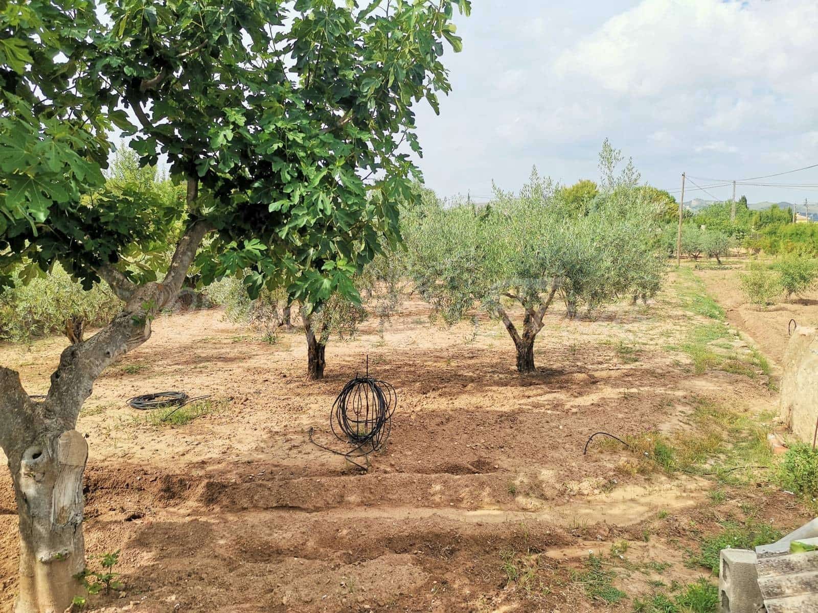 4 soveværelse Rækkehus til salg i Yecla med swimmingpool - € 125.000 (Ref: 6246453)