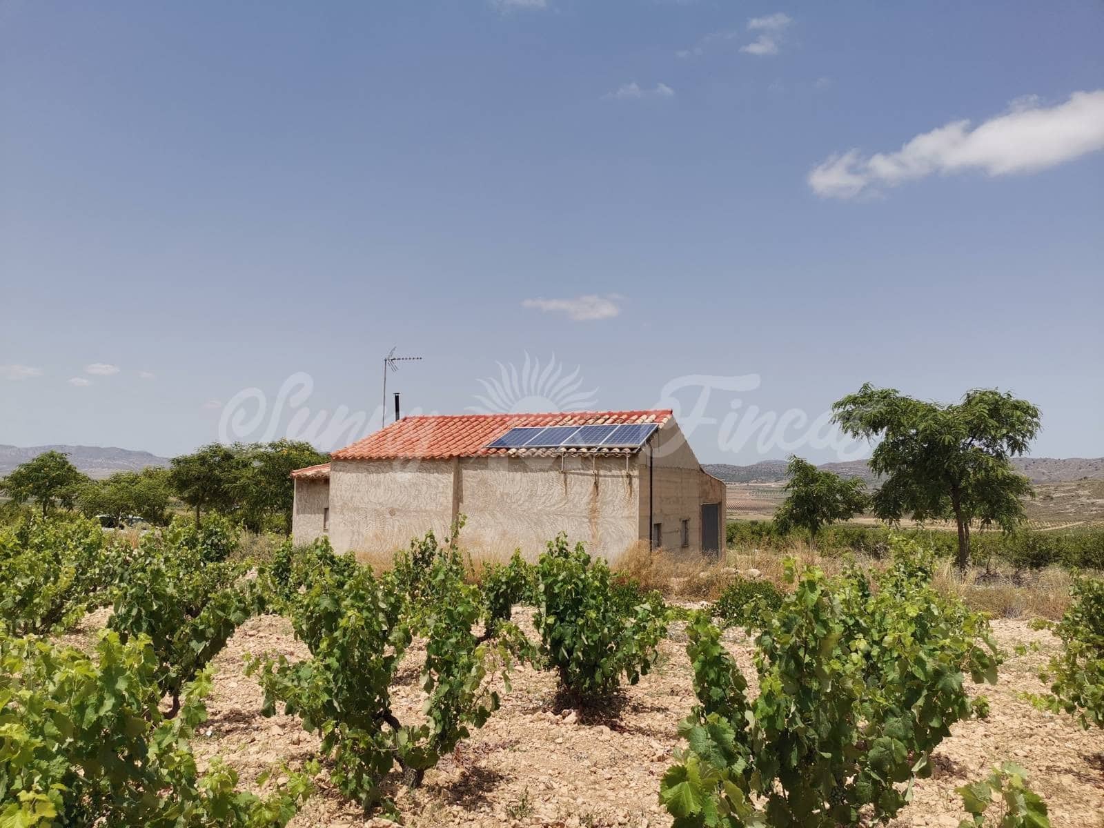 3 camera da letto Finca/Casa di Campagna in vendita in Yecla con garage - 315.000 € (Rif: 6246462)