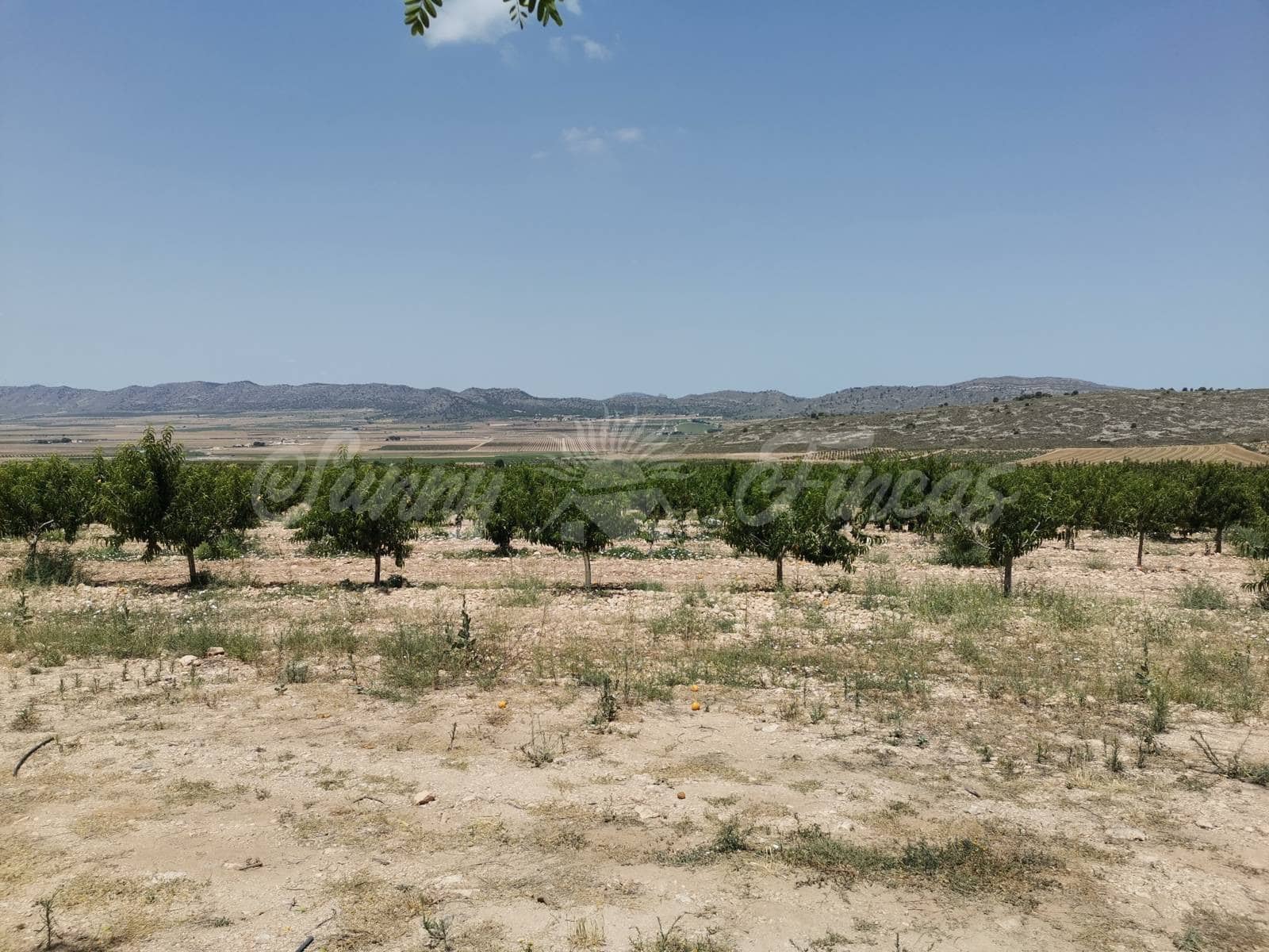 3 camera da letto Finca/Casa di Campagna in vendita in Yecla con garage - 315.000 € (Rif: 6246462)