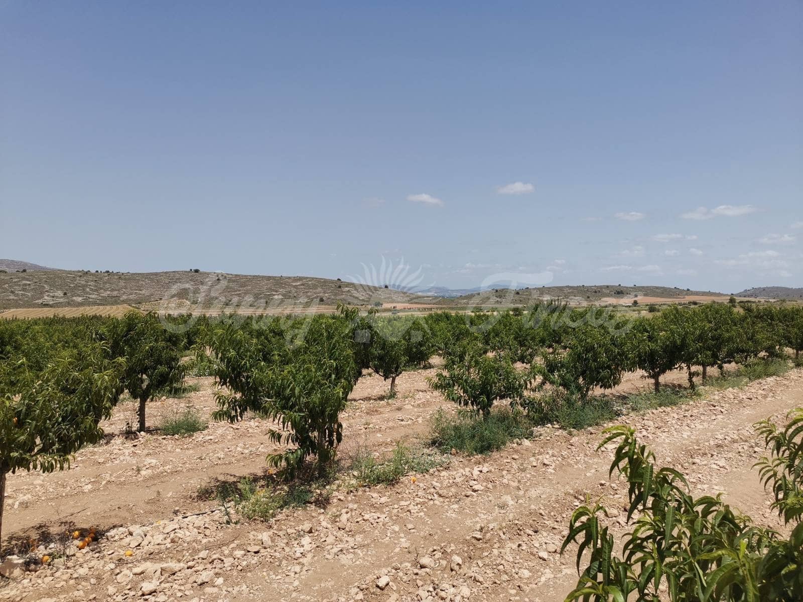 3 camera da letto Finca/Casa di Campagna in vendita in Yecla con garage - 315.000 € (Rif: 6246462)