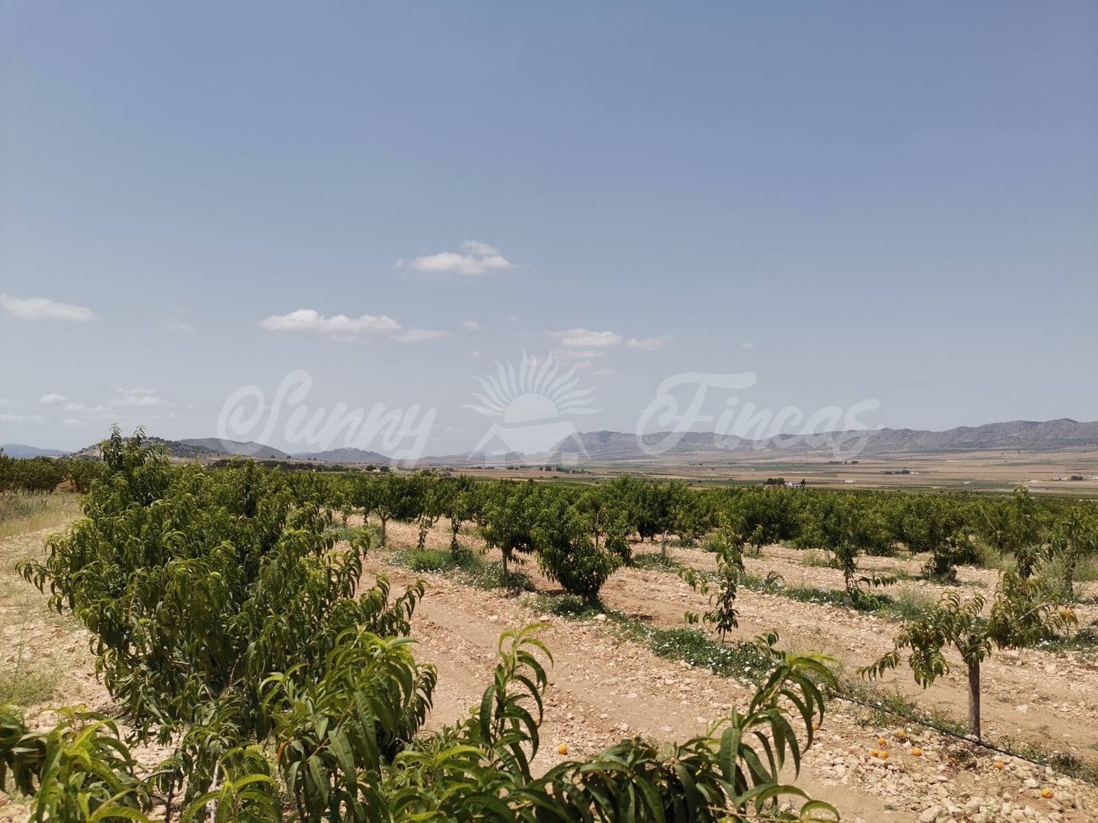 3 camera da letto Finca/Casa di Campagna in vendita in Yecla con garage - 315.000 € (Rif: 6246462)