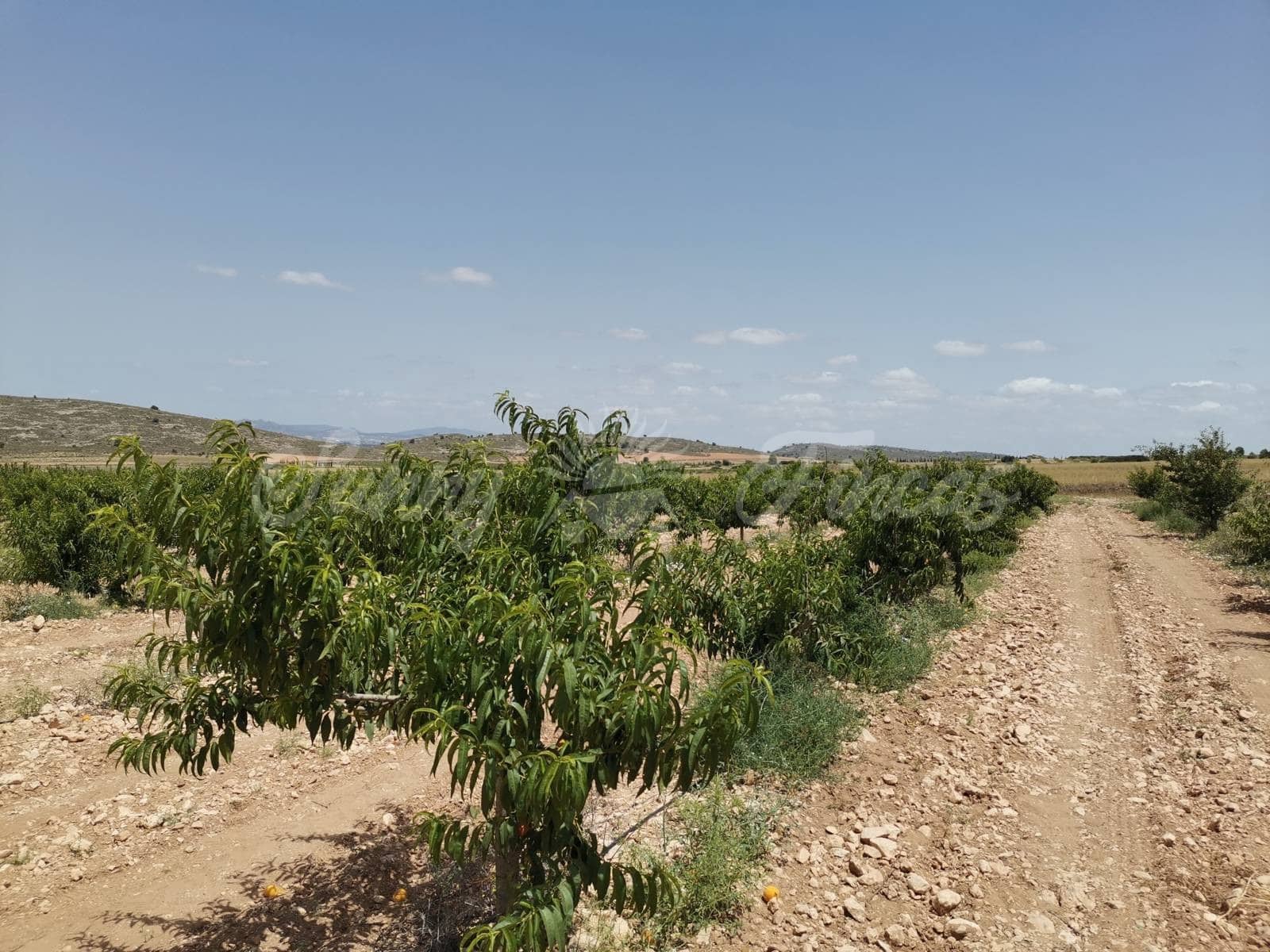 3 camera da letto Finca/Casa di Campagna in vendita in Yecla con garage - 315.000 € (Rif: 6246462)