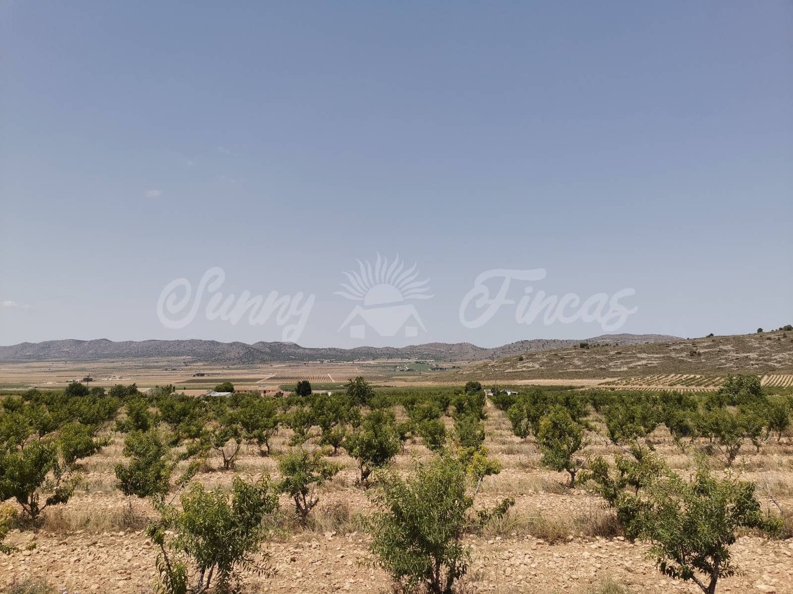 3 camera da letto Finca/Casa di Campagna in vendita in Yecla con garage - 315.000 € (Rif: 6246462)