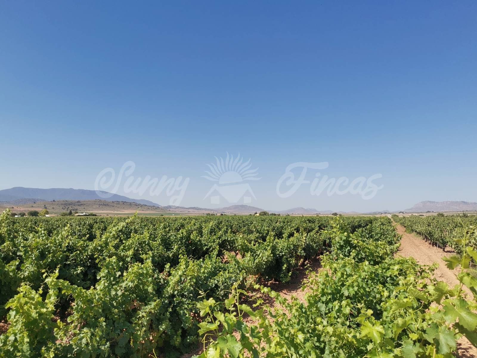 Ubebygd land til salgs i Yecla - € 335 000 (Ref: 6246467)