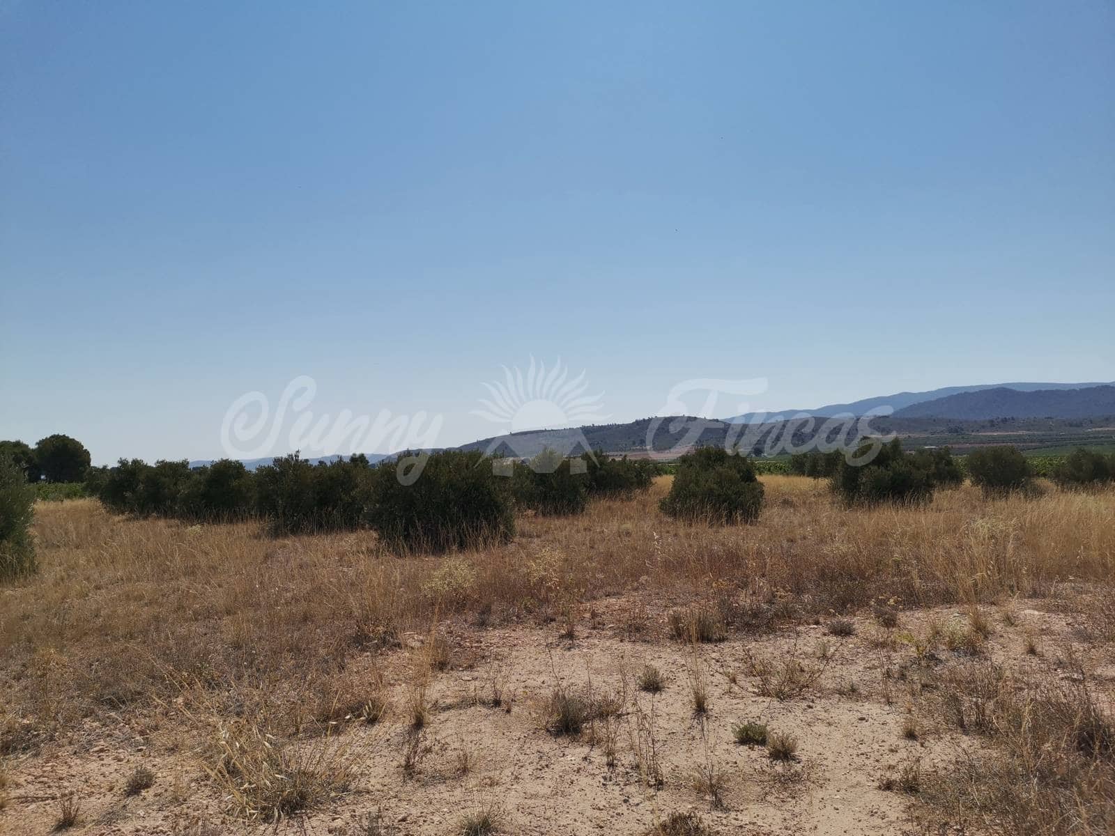 Ubebygd land til salgs i Yecla - € 335 000 (Ref: 6246467)