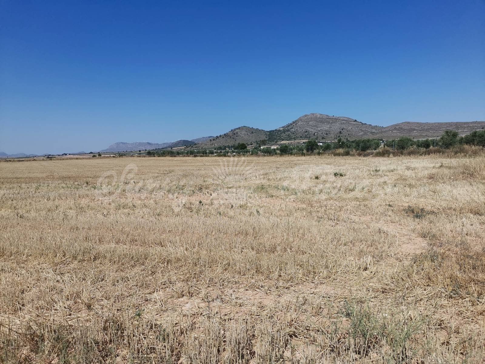 Ubebygd land til salgs i Yecla - € 335 000 (Ref: 6246467)