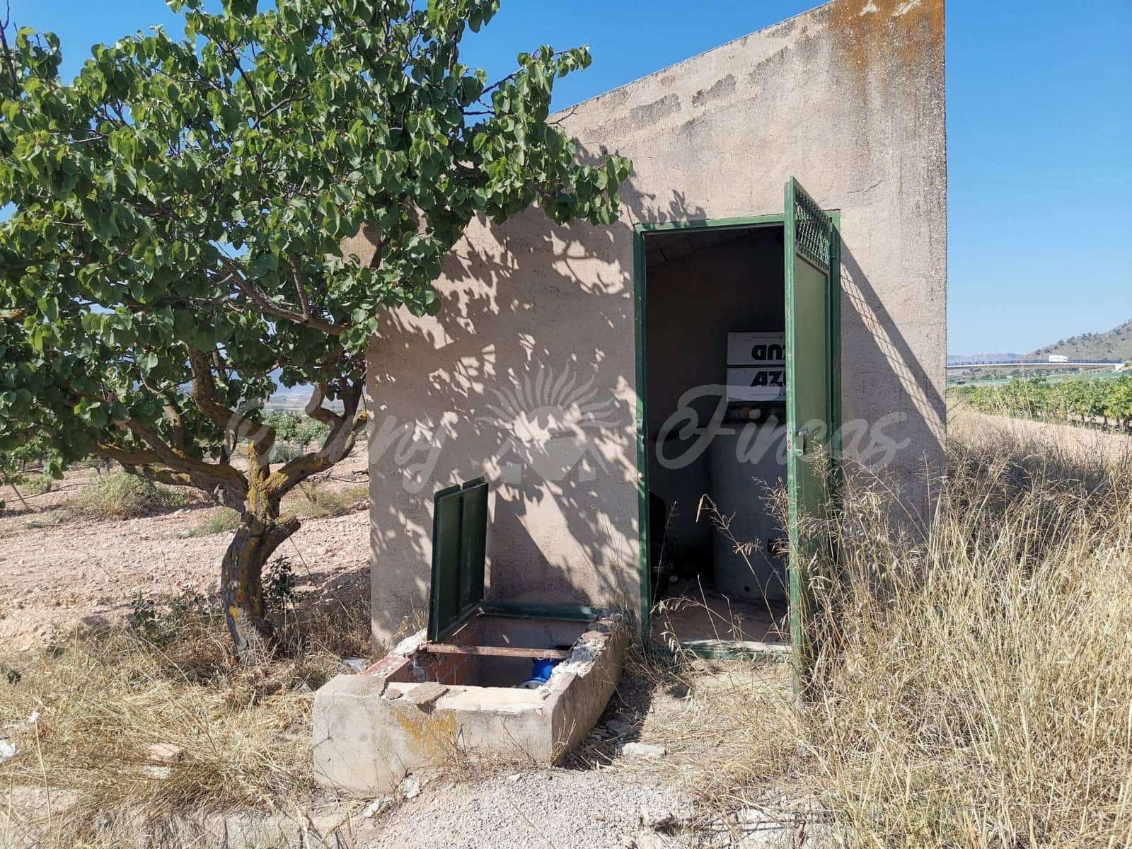 Ubebygd land til salgs i Yecla - € 335 000 (Ref: 6246467)