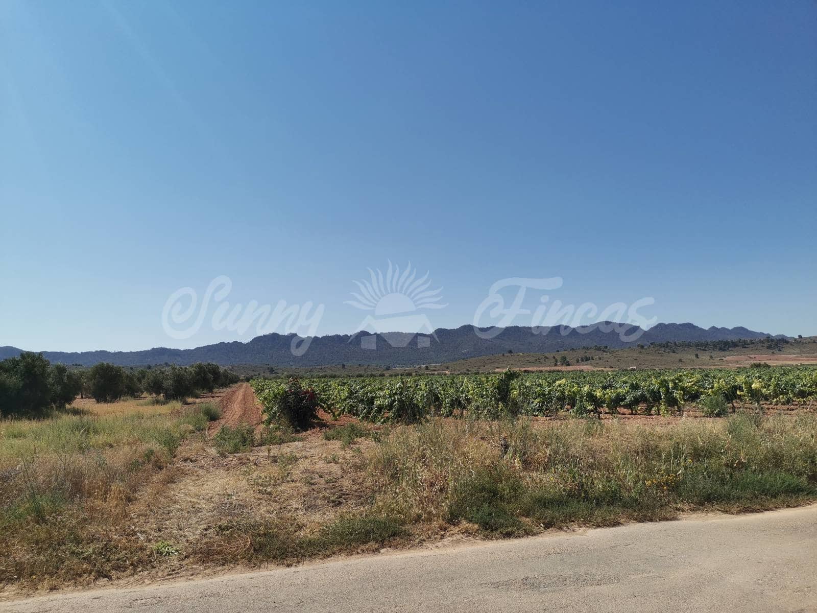 Ubebygd land til salgs i Yecla - € 335 000 (Ref: 6246467)