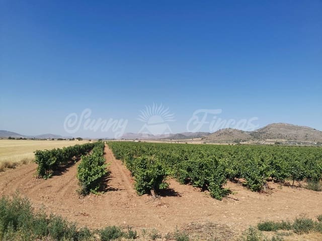 Undeveloped Land for sale in Yecla - € 335,000 (Ref: 6246467)
