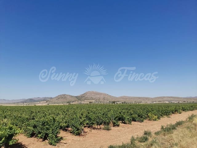 Undeveloped Land for sale in Yecla - € 335,000 (Ref: 6246467)
