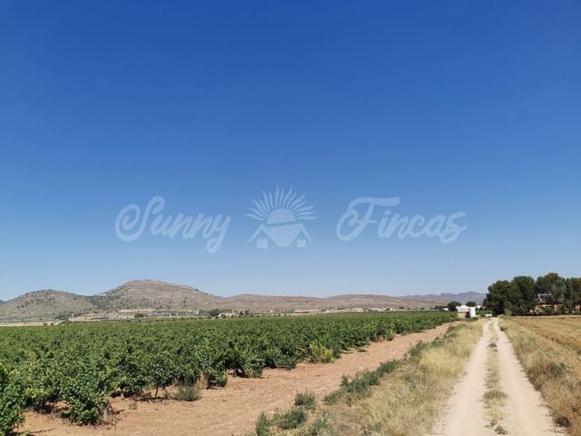 Undeveloped Land for sale in Yecla - € 335,000 (Ref: 6246467)