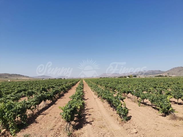 Undeveloped Land for sale in Yecla - € 335,000 (Ref: 6246467)