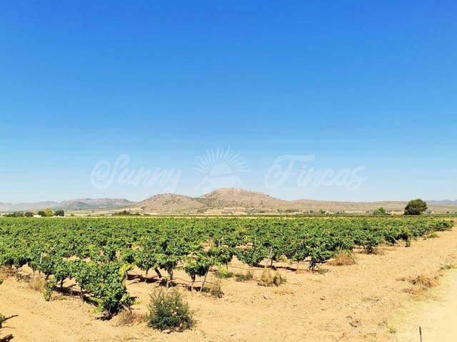 Undeveloped Land for sale in Yecla - € 335,000 (Ref: 6246467)