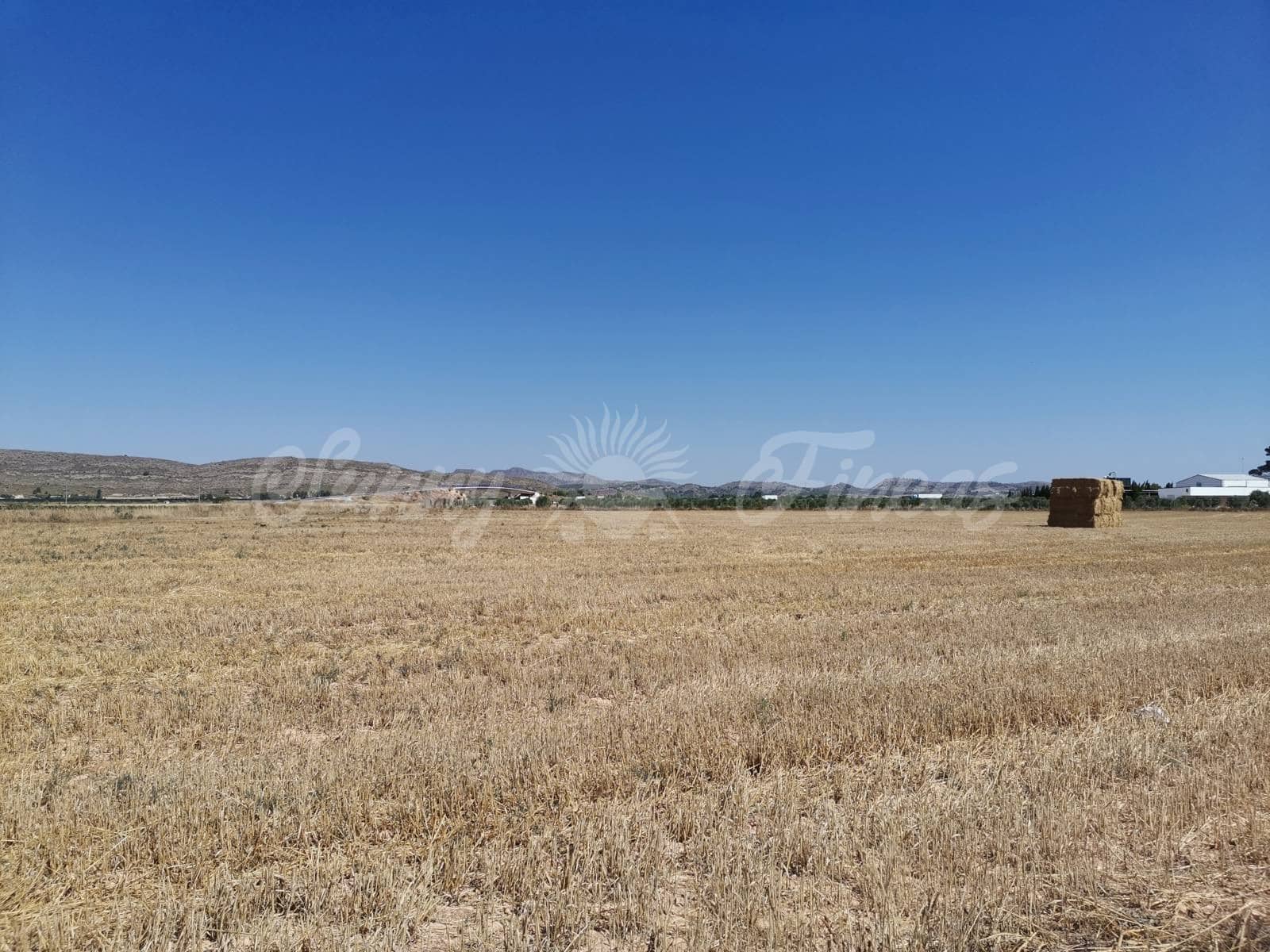 Ubebygd land til salgs i Yecla - € 335 000 (Ref: 6246467)