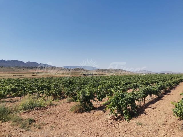 Undeveloped Land for sale in Yecla - € 335,000 (Ref: 6246467)