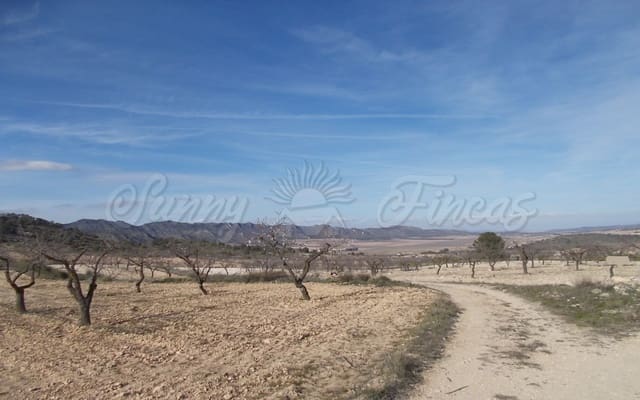 Mark till salu i Raspay, Yecla - 55 000 € (Ref: 6269483)