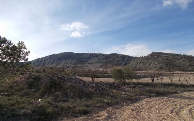 Mark till salu i Raspay, Yecla - 55 000 € (Ref: 6269483)