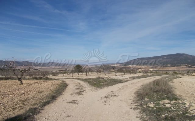 Mark till salu i Raspay, Yecla - 55 000 € (Ref: 6269483)