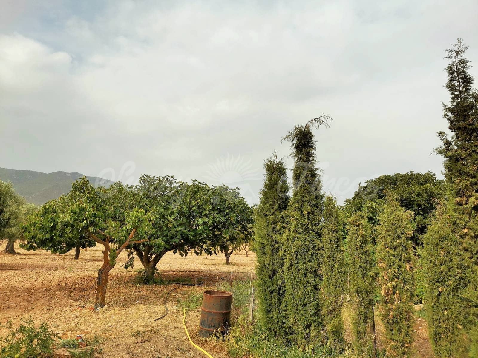 1 bedroom Finca/Country House for sale in Yecla with garage - € 27,000 (Ref: 6287711)