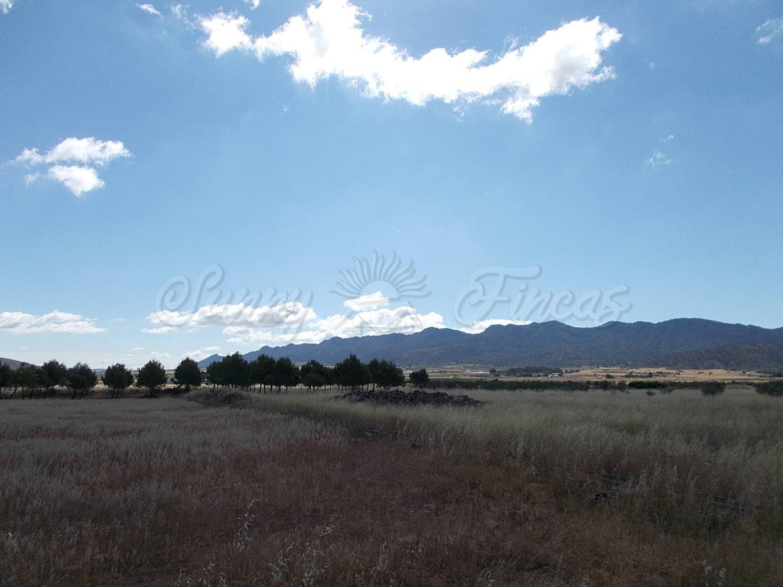 Landgrundstück zu verkaufen in Yecla - 29.900 € (Ref: 6288274)