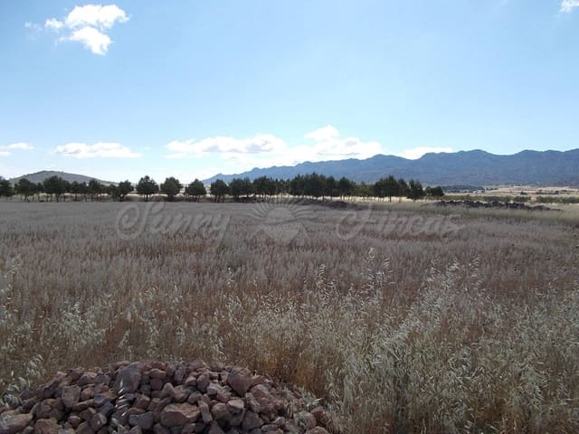 Rakentamaton maa myytävänä paikassa Yecla - 29 900 € (Ref: 6288274)