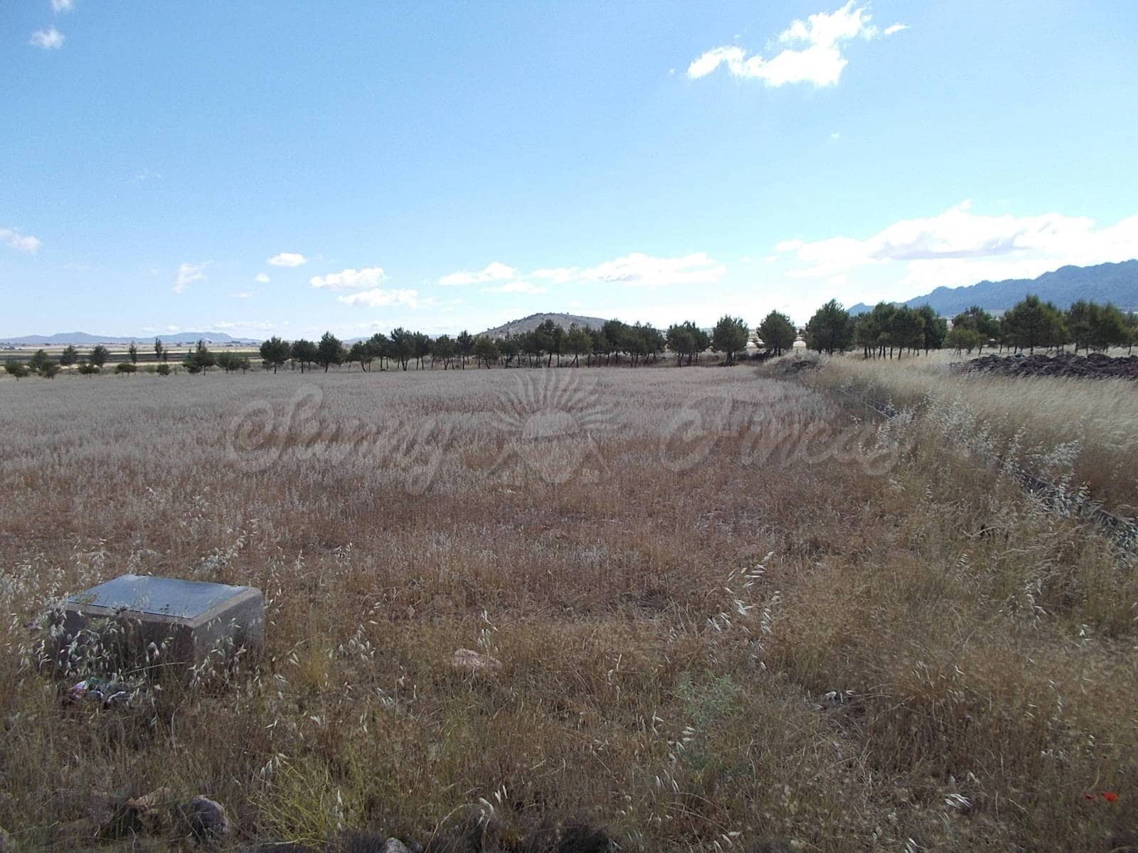 Landgrundstück zu verkaufen in Yecla - 29.900 € (Ref: 6288274)