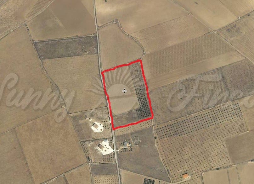 Landgrundstück zu verkaufen in Yecla - 29.900 € (Ref: 6288274)