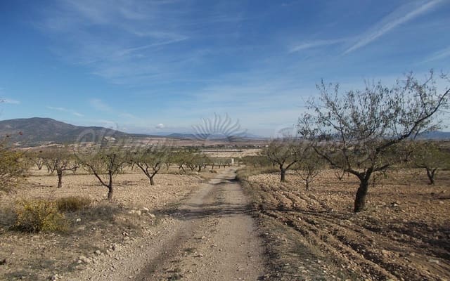 Mark till salu i Raspay, Yecla - 23 900 € (Ref: 6288277)