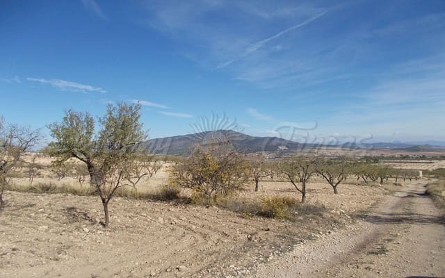 Mark till salu i Raspay, Yecla - 23 900 € (Ref: 6288277)