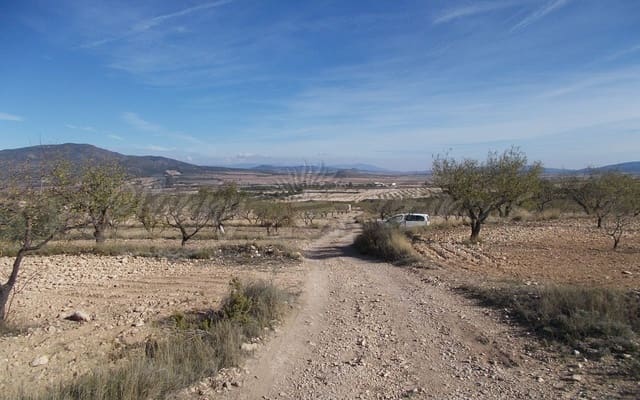 Mark till salu i Raspay, Yecla - 23 900 € (Ref: 6288277)