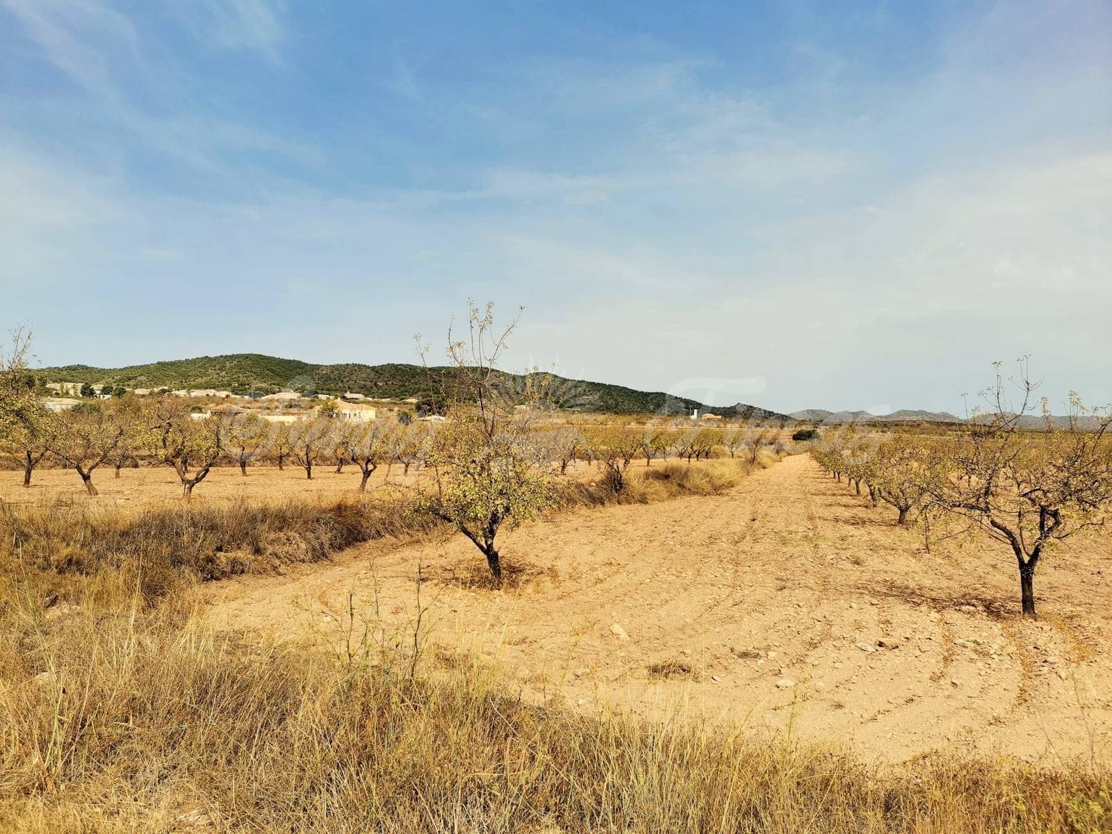 Grond te koop in Raspay - € 65.000 (Ref: 6324603)