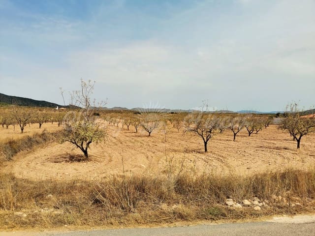 Grond te koop in Raspay, Yecla - € 65.000 (Ref: 6324603)