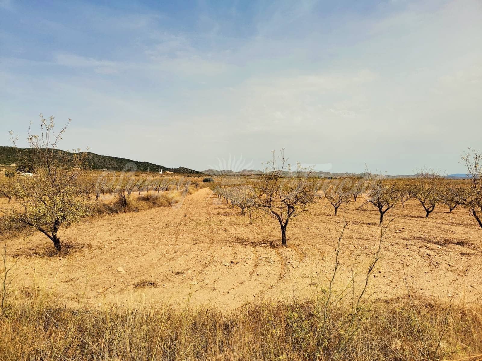 Grond te koop in Raspay - € 65.000 (Ref: 6324603)