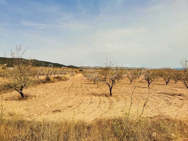 Grond te koop in Raspay, Yecla - € 65.000 (Ref: 6324603)