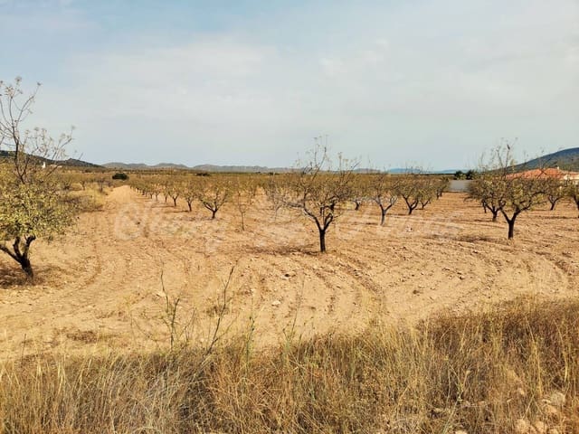 Grond te koop in Raspay, Yecla - € 65.000 (Ref: 6324603)