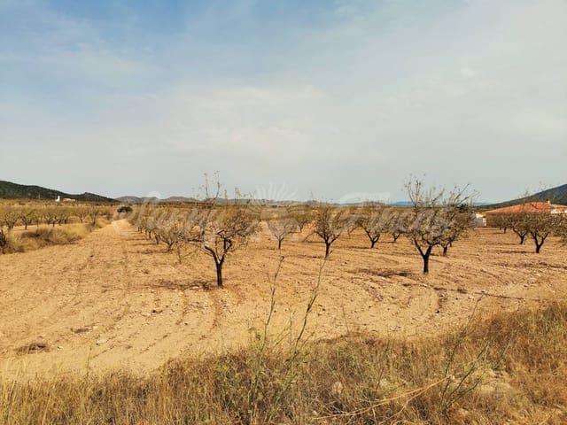 Grond te koop in Raspay, Yecla - € 65.000 (Ref: 6324603)