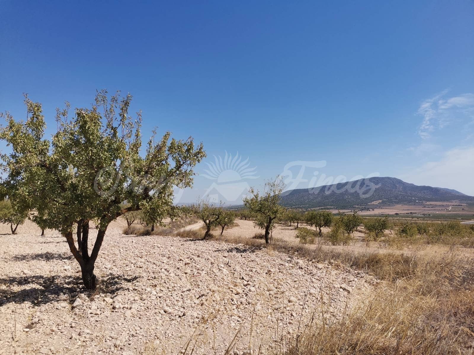 Terreno Non Edificato in vendita in Raspay - 22.900 € (Rif: 6324604)