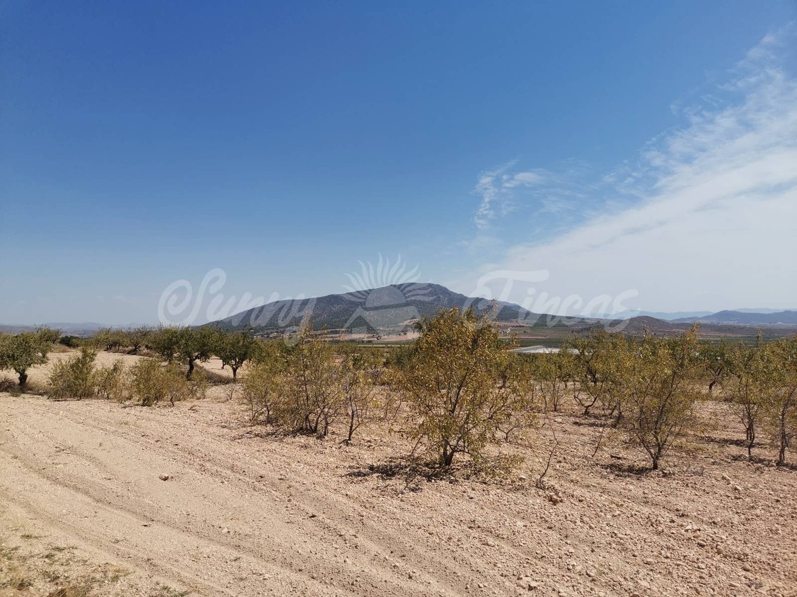 Terreno Non Edificato in vendita in Raspay - 22.900 € (Rif: 6324604)