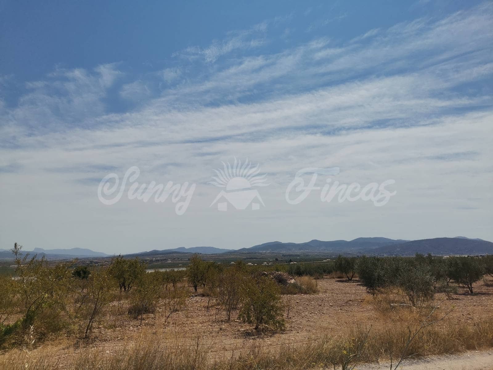 Terreno Non Edificato in vendita in Raspay - 22.900 € (Rif: 6324604)