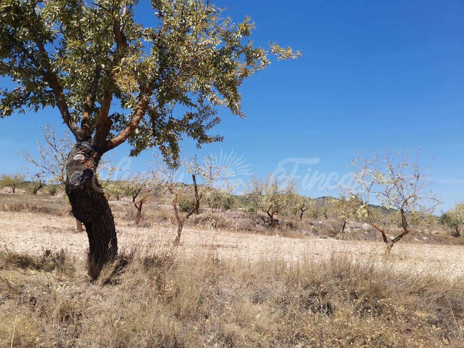 Terreno Non Edificato in vendita in Raspay - 22.900 € (Rif: 6324604)