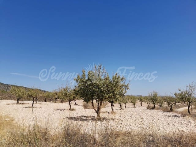 Mark till salu i Raspay, Yecla - 22 900 € (Ref: 6324604)