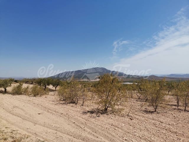 Mark till salu i Raspay, Yecla - 22 900 € (Ref: 6324604)