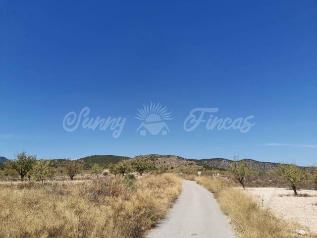 Mark till salu i Raspay, Yecla - 22 900 € (Ref: 6324604)