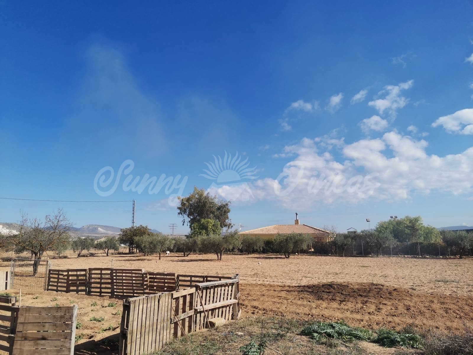 7 soveværelse Finca/Landehus til salg i Caudete med swimmingpool garage - € 189.000 (Ref: 6453025)