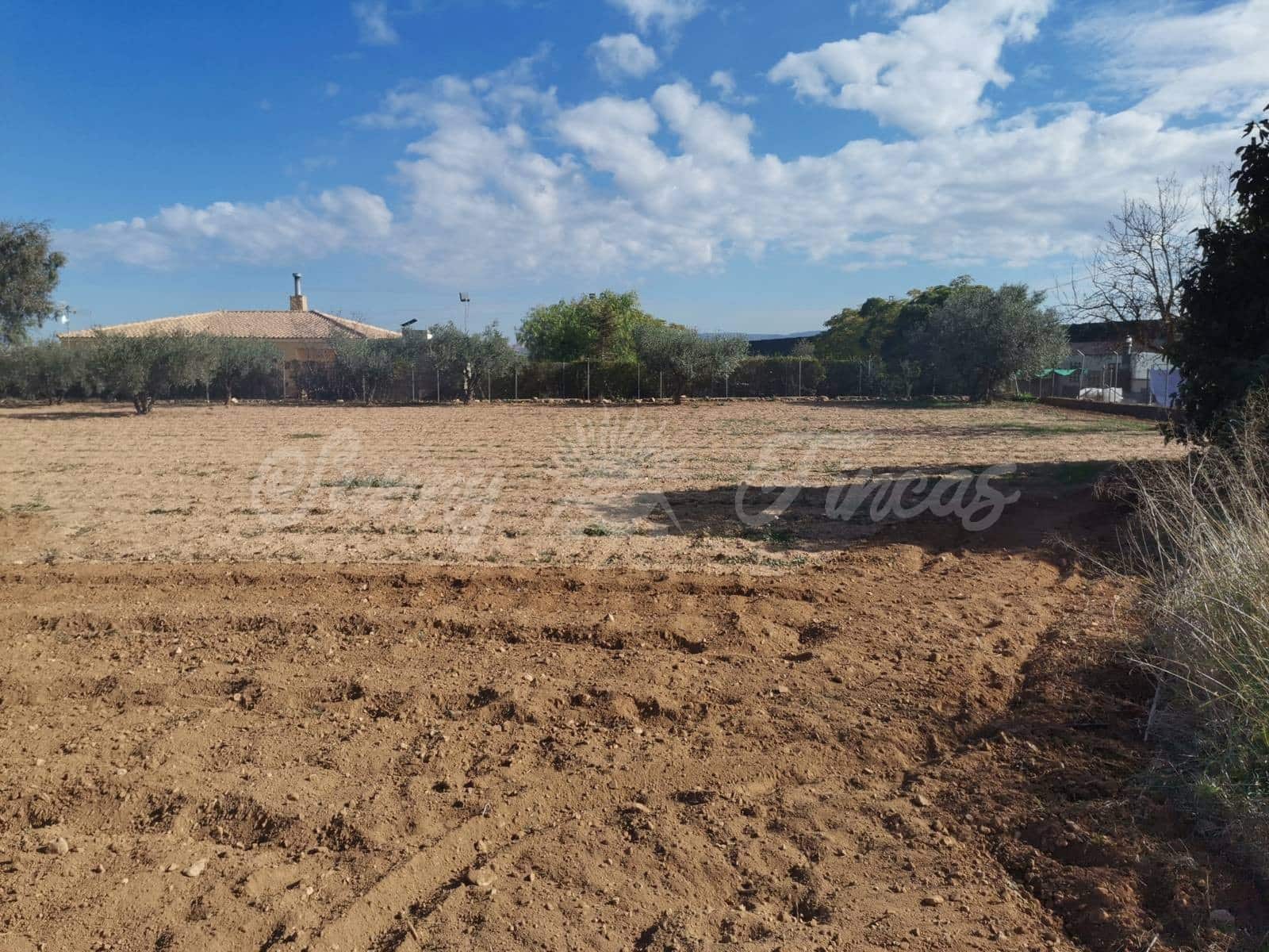 7 soveværelse Finca/Landehus til salg i Caudete med swimmingpool garage - € 189.000 (Ref: 6453025)