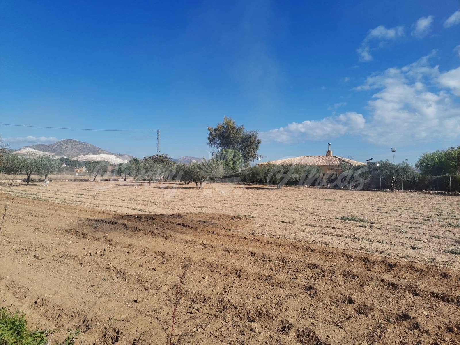 7 soveværelse Finca/Landehus til salg i Caudete med swimmingpool garage - € 189.000 (Ref: 6453025)