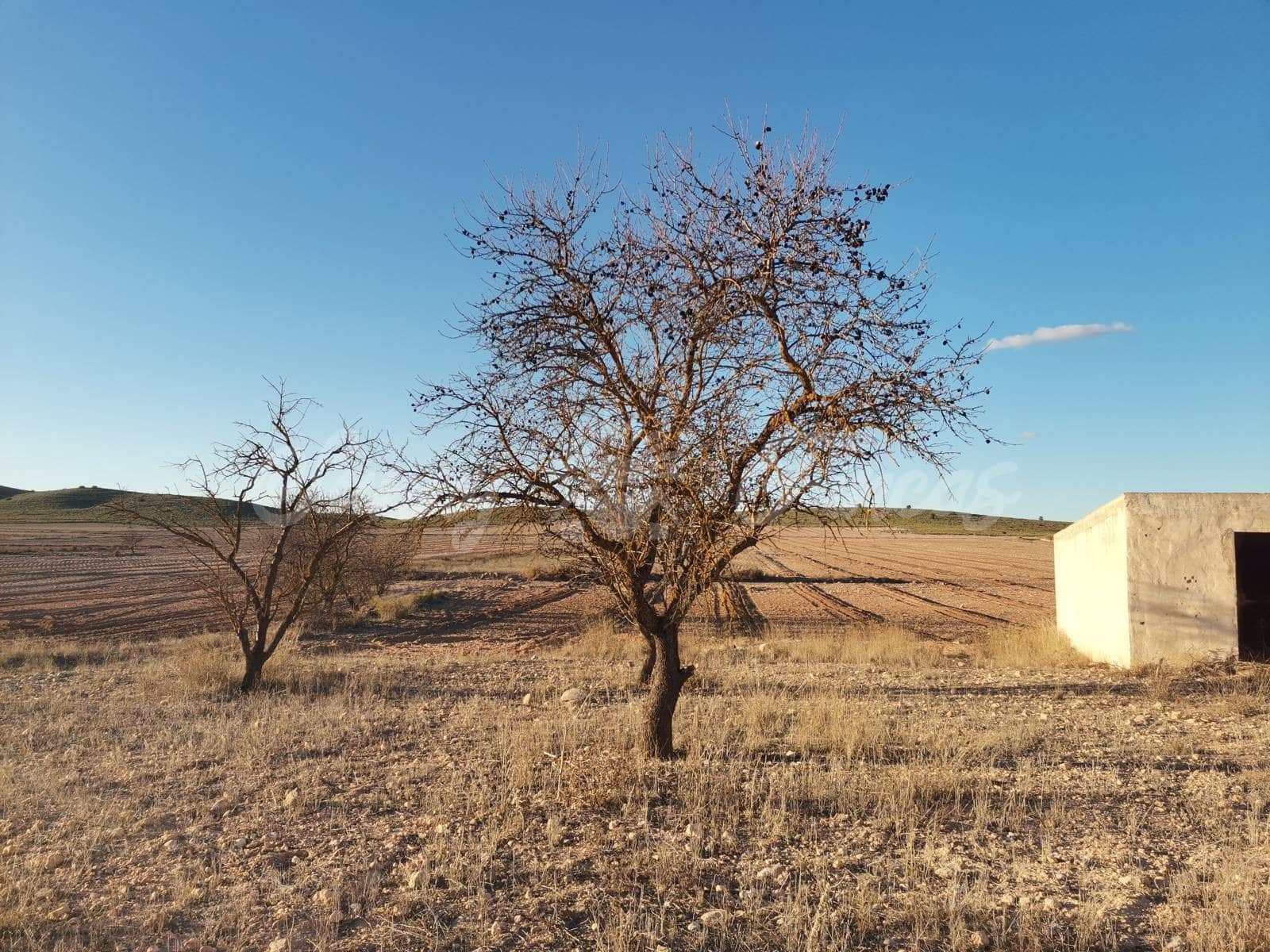 Ruin til salg i Villena - € 15.000 (Ref: 6453026)