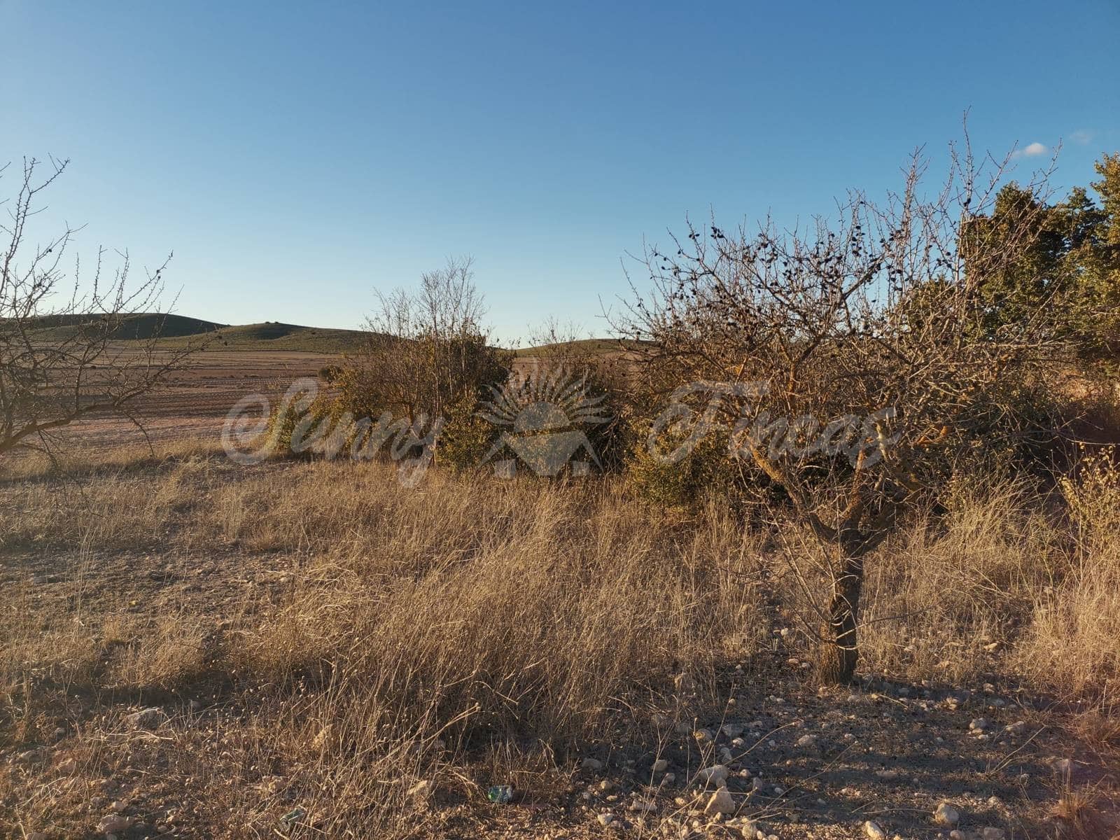 Ruin til salg i Villena - € 15.000 (Ref: 6453026)